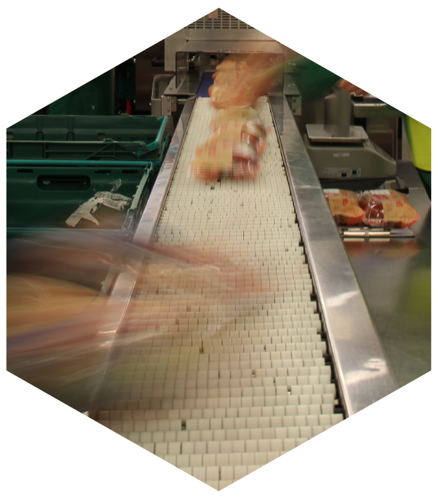 Orchard Place Packers, multiformat packing